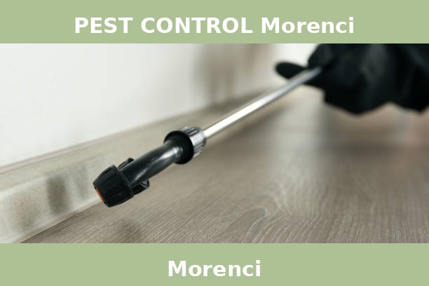 PEST CONTROL Morenci
